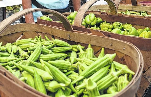 Okra: A Southern tradition with a past | Richmond County Daily Journal