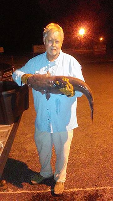 Rock Hill fishermen catch record-breaking catfish in Catawba River