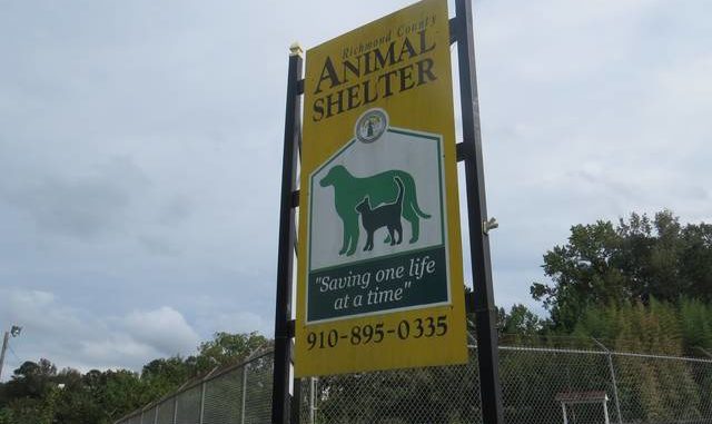 
			
				                                Daily Journal file photo
                                The Richmond County Animal Shelter was fined $2,250 in January for improper handling of an injured dog, as well as improper cleaning practices on the day that dog was brought in.
 
			
		