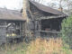 Photo courtesy of J.A. Bolton
                                Old Mose may have roamed the woods around this cabin.