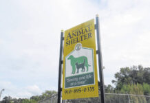 
			
				                                The Richmond County Animal Shelter, now managed by K2 Solutions, passed its inspection last week after being disapproved on an unannounced inspection in January.
 
			
		