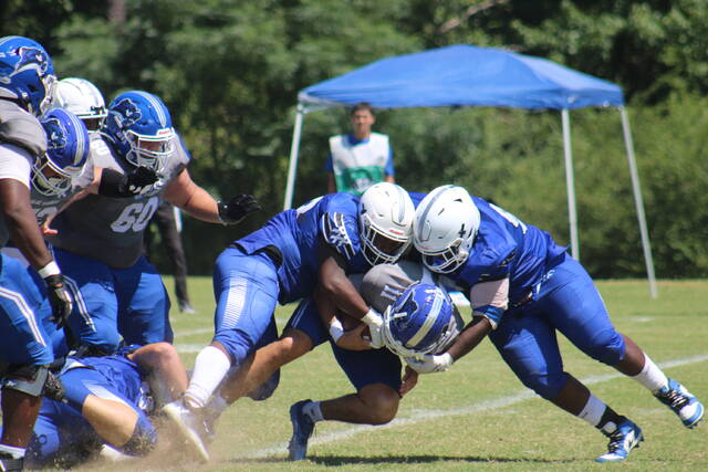 blue raiders jersey